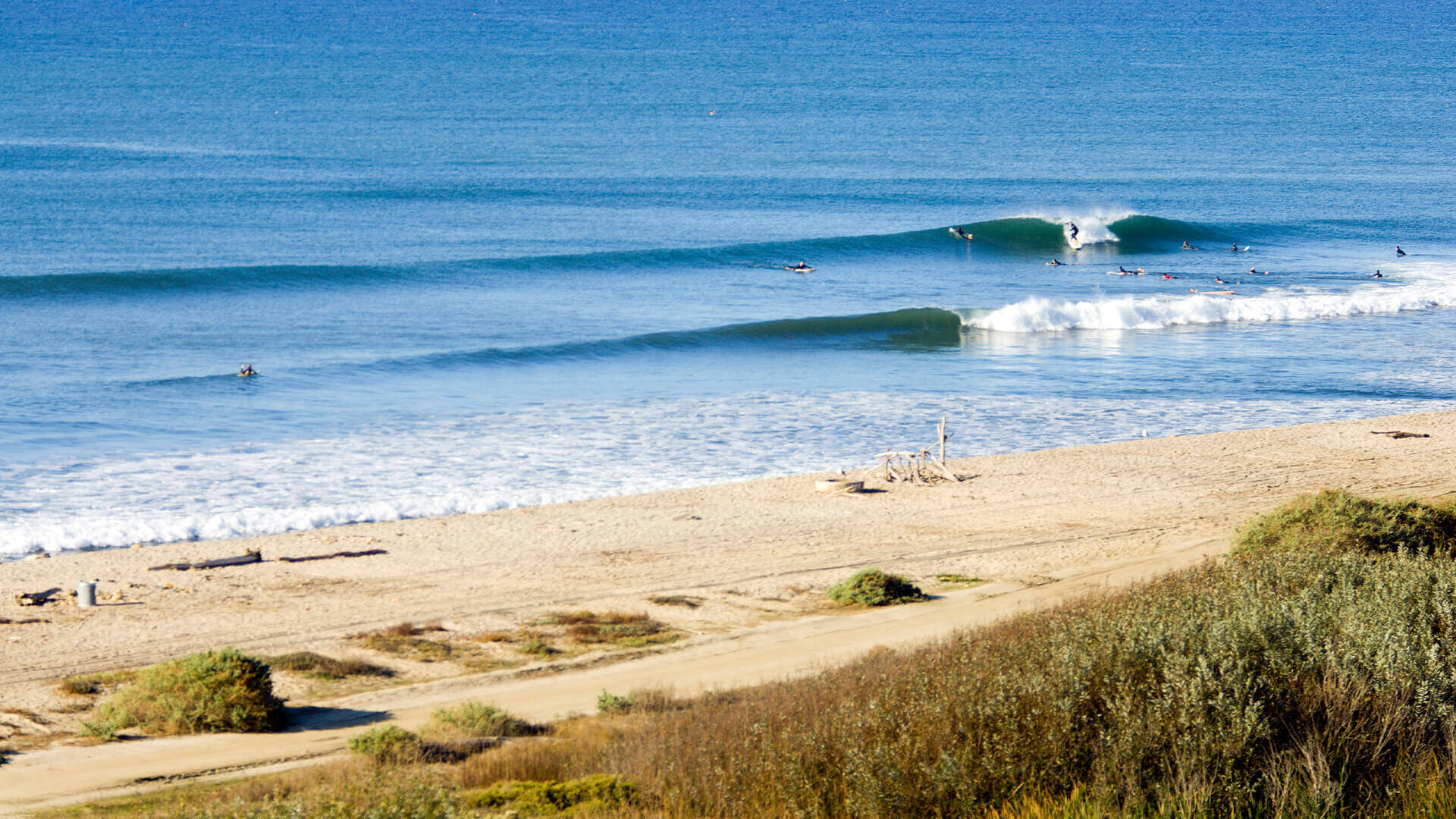 waves-saved_trestles